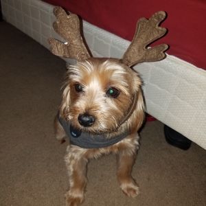 Meet your Posher, Christine